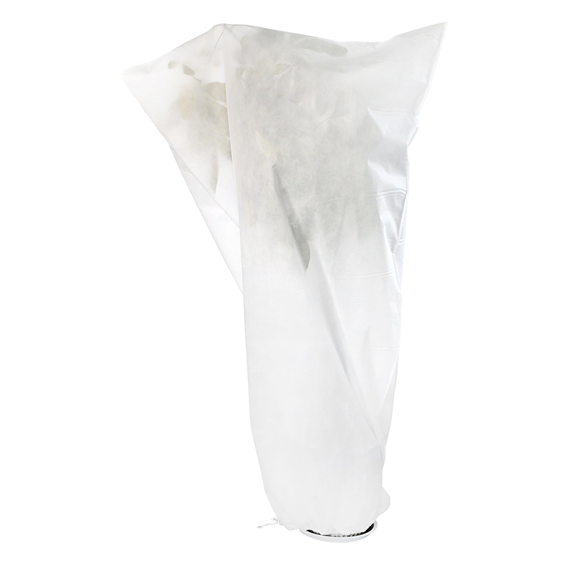Plant cover